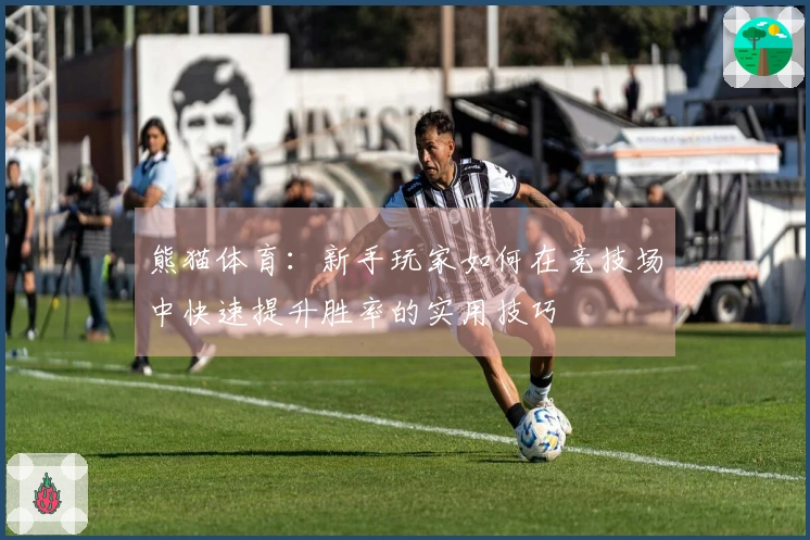 熊猫体育：新手玩家如何在竞技场中快速提升胜率的实用技巧
